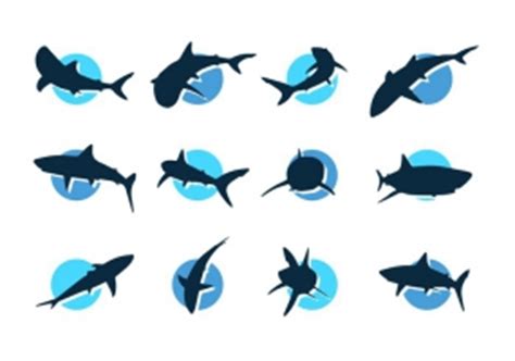 Download Shark svg for free - Designlooter 2020 👨‍🎨
