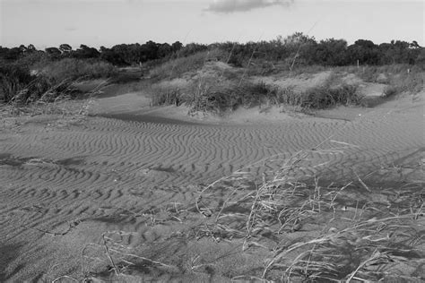 Lines In The Sand Photograph By Robert Wilder Jr Fine Art America