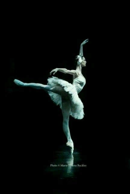Pin By 陌上 花开 On Ballet And Art Of Dance In 2020 Polina Semionova