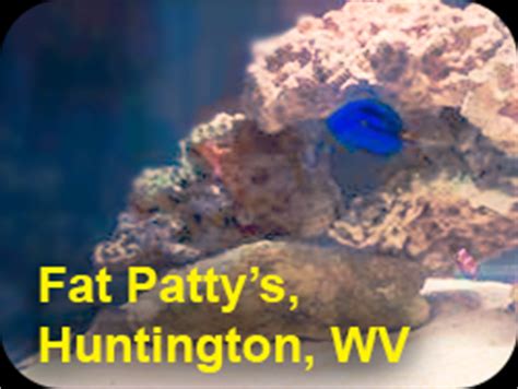 Fat pattys menu huntington wv. Saltwater Freshwater Aquarium Service | Specialty Pets ...