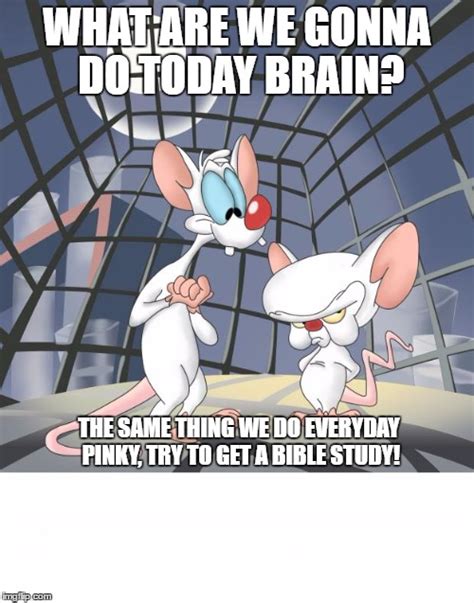 Pinky And The Brain Imgflip