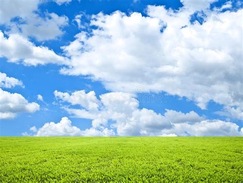 Beautiful Green Field And Blue Sky Natural Landscape View Stock Image