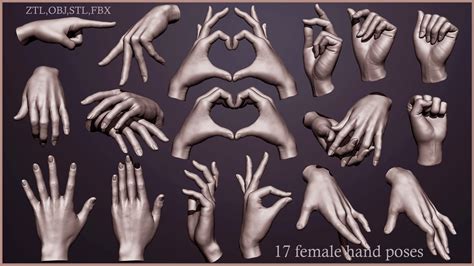 Artstation 17 Female Hand Poses 3d Model Ztlobjstlfbx Resources