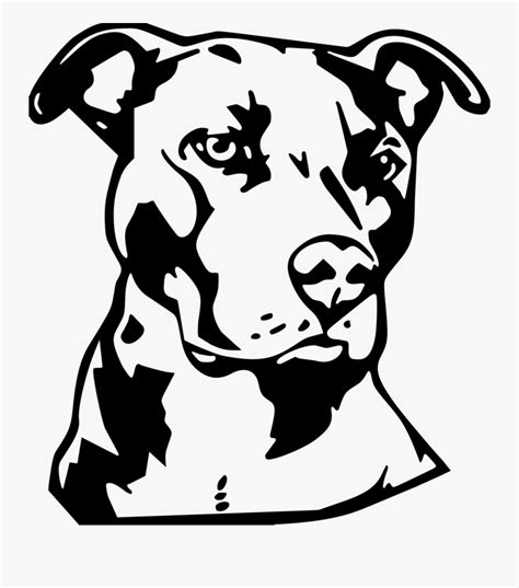 Pitbull Face Clipart Free Transparent Clipart Clipartkey