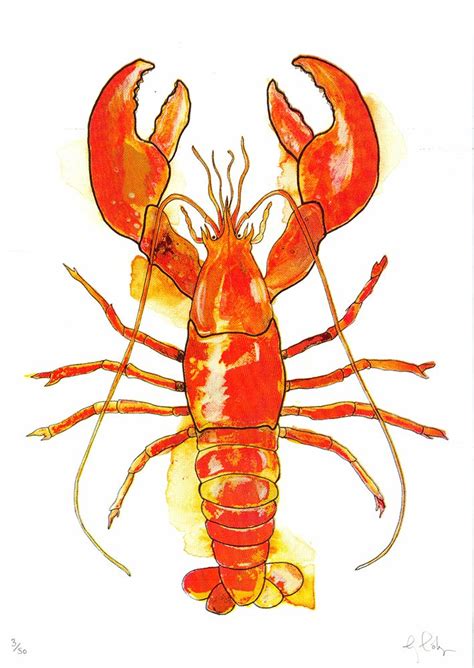 Lobster By Gavin Dobson Print Club London Lobster Drawing Fish