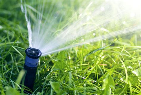Call us now to receive $50 off your next service. Plumber in Melbourne identifies outdoor plumbing problems