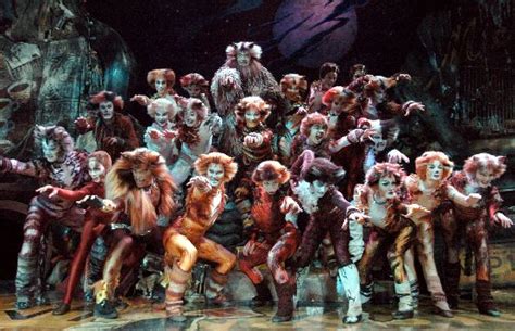 Cats began its run in london's west end in 1981, and it took 20 years to wheel the auidence out of the theater. Düsseldorf 2004 | 'Cats' Musical Wiki | Fandom