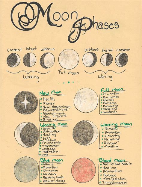 Paganwiccan Phases Of The Moon Printable Bos Page Etsy