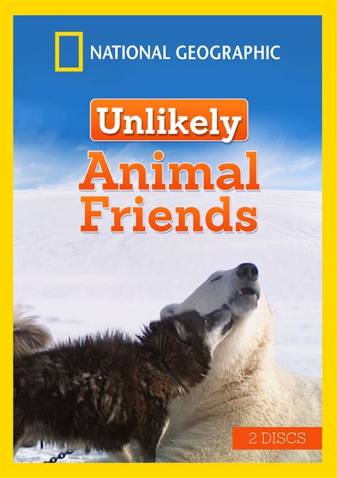 Best Buy National Geographic Unlikely Animal Friends Vol 2 2 Discs