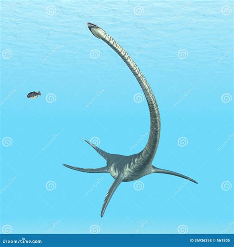 Plesiosaur Elasmosaurus Stock Illustration Illustration Of Reptile