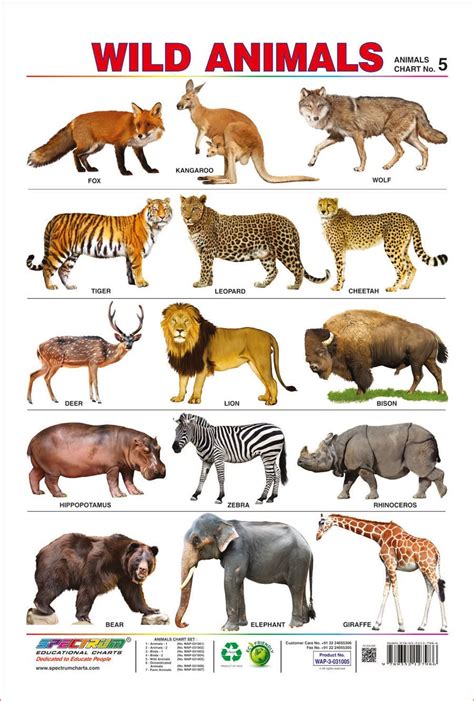 Farm Animals Names List | See More...