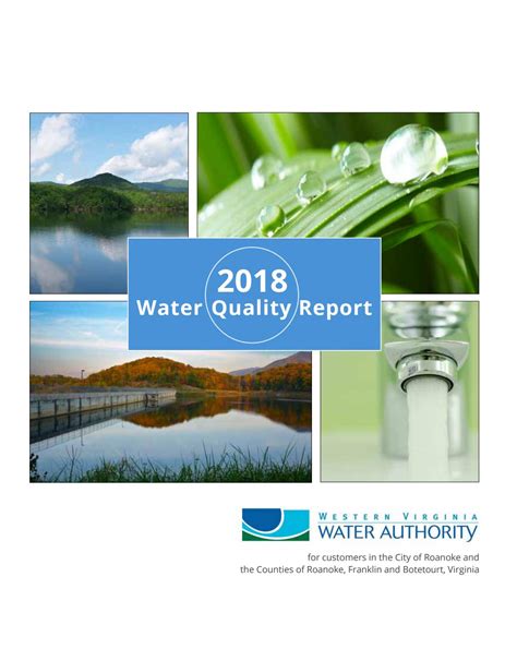 Western Virginia Water Authoritys 2018 Drinking Water Quality Report