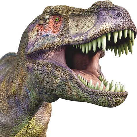 Dinosaur Picture Png Picpng