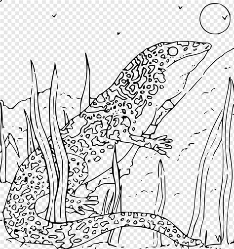 Lizard Gecko Salamander Iguana Amphibian Reptilian Pets Drawing