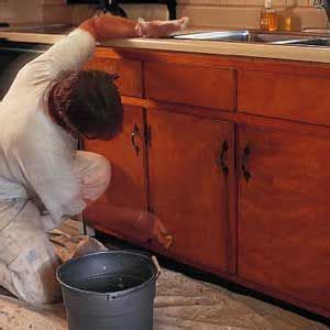 Start by mixing 1/2 cup of baking soda with 1/4 cup of vegetable oil to form a paste. Painting Kitchen Cabinets | Stained kitchen cabinets ...
