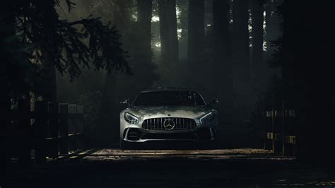 Mercedes Benz Amg Gt Deep Forest Hd Cars 4k Wallpapers Images