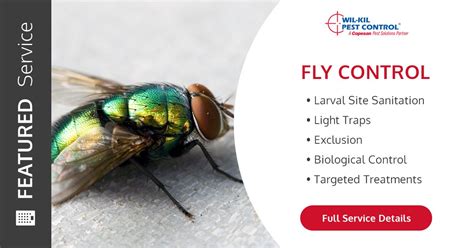 Pest control discount coupons, deals and specials. Fly Pest Control | Commercial Services | Wil-Kil Pest Control
