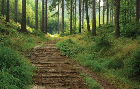 Summer Trails Wallpapers - Wallpaper Cave