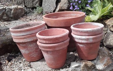 7 Weathered Terracotta Plant Pots No6 In Ilminster Somerset Gumtree