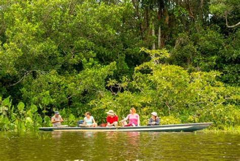 Visiting The Amazon Rainforest In Ecuador On The Go Tours