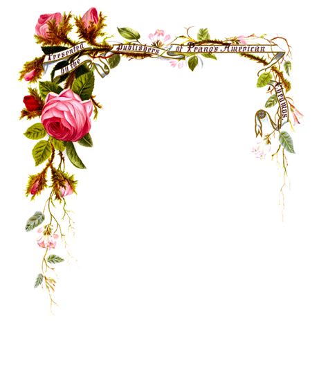 Flower borders and frames free borders image. Roses Vintage Floral Border Free Stock Photo - Public ...
