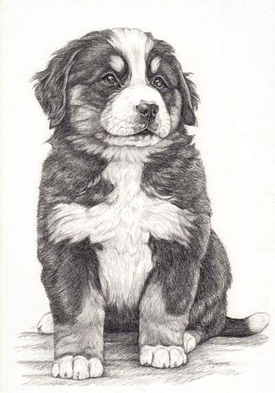 A Pencil Drawing Of A Puppy Sitting On The Ground