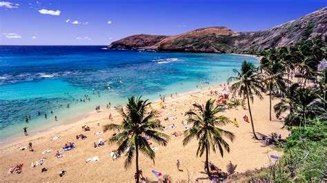 Best Beaches In Honolulu Lonely Planet