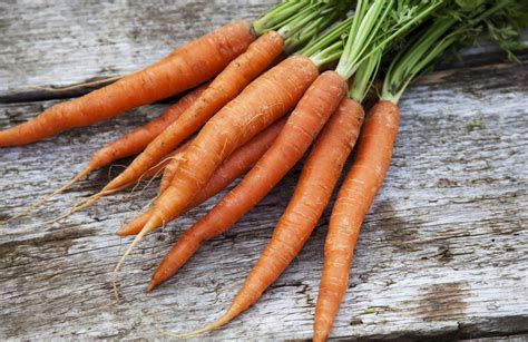 How To Grow Carrots In The Home Garden