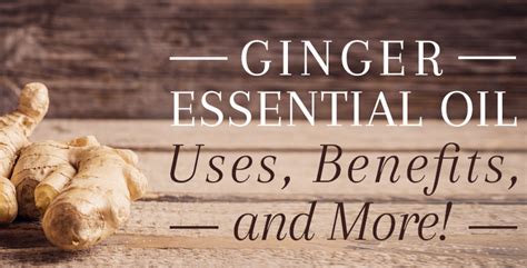 Ginger Oil Benefits And Uses Of This Powerful Anti Inflammatory Oil