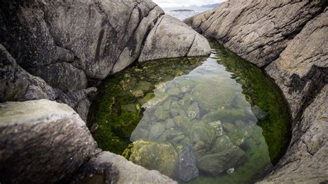 Bay Ocean Water Stones Rocks Beach Reflection Sea Wallpapers Hd