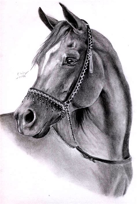 Illustration about a pencil drawing of a horse's head, created with pencil in the realism style. Arabian Horse by ManiaAdun on DeviantArt