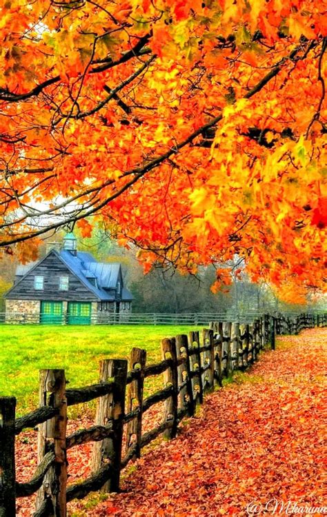 Best 25 Fall Scenery Pictures Ideas On Pinterest Autumn