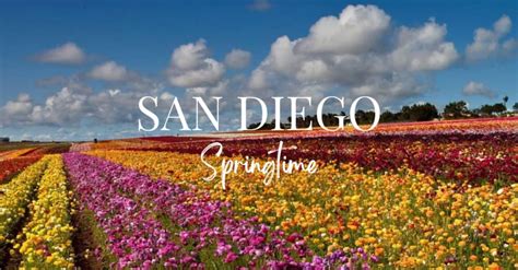 San Diego Springtime Velocity Realty
