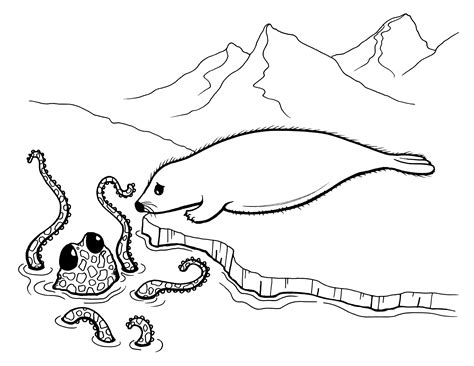 Seal coloring pages download and print for free