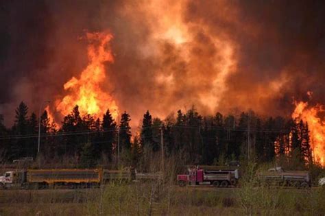 240 (larger than 0.01 hectares). Canada wildfires: Emergency in Alberta as fires threaten ...