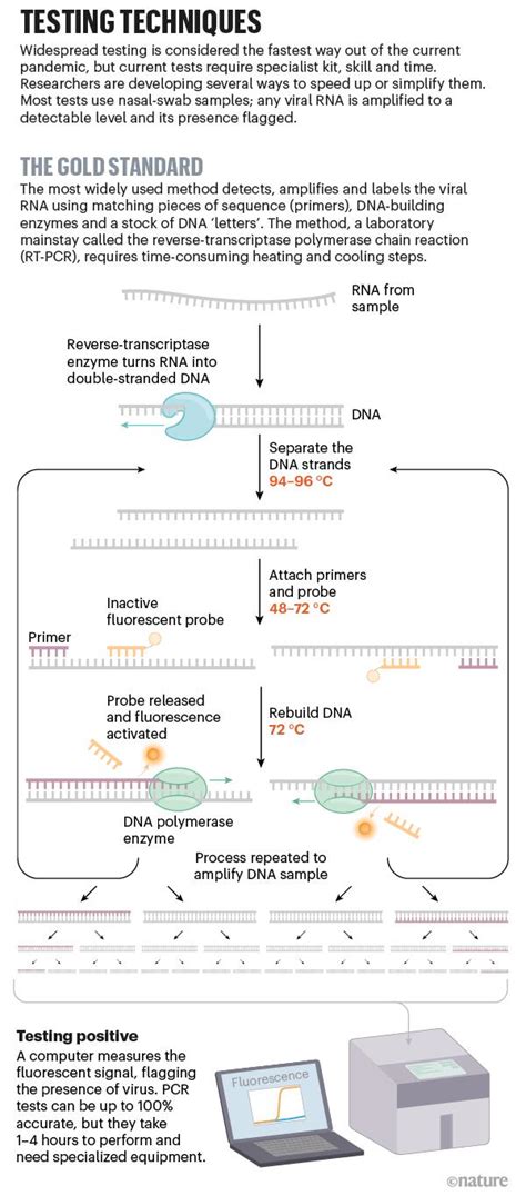 Many countries and some states require negative polymerase chain reaction (pcr) tests taken within a certain amount of what you'll usually need for travel is a pcr test (polymerase chain reaction). DNA Klonlama Metodu Olan PCR Testi Tam Olarak Nedir ve Ne ...