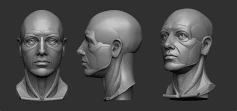 Planar Simplified Male Head 3d Print Model 3d Drawings Human