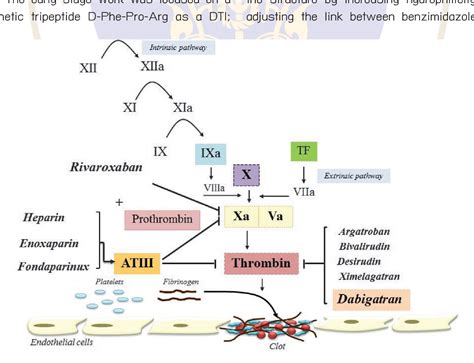 Figure From Dabigatran A New Oral Anticoagulant Semantic Scholar