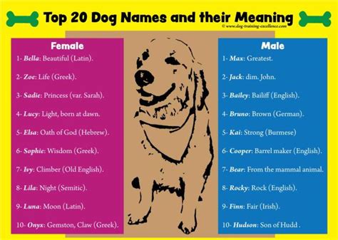 Fun and unique spanish dog names for both female and male dogs. 1001 Best Dog Names for Smart Pets