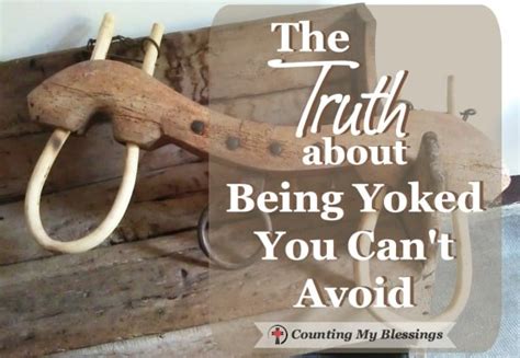 The Truth About Being Yoked You Cant Avoid Counting My Blessings