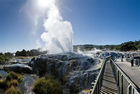 Auckland To Rotorua Te Puia Geothermal Valley Private Day Tour