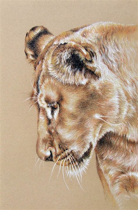 Signed up for your newsletter and facebook page. Color Pencil Drawing Techniques: How To Use Colored Pencils