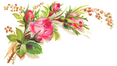 Antique Images Free Flower Clip Art Pink Rose Bouquet Graphic Corner