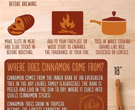 How To Use Cinnamon Sticks Infographic Best Infographics