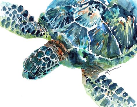 Loose Watercolor Painting Of Green Sea Turtle By Claudia Hafner