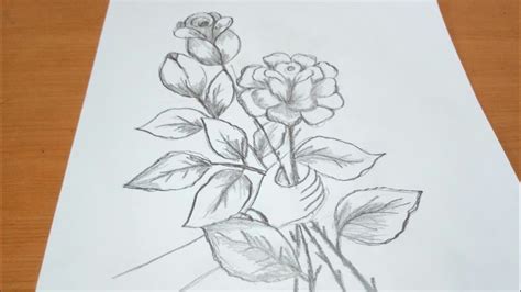 Paling Keren 15 Sketsa Bunga Mawar Step By Step Gambar Bunga Hd