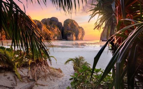 Nature Landscape Beach Sunset Palm Trees Shrubs Rock