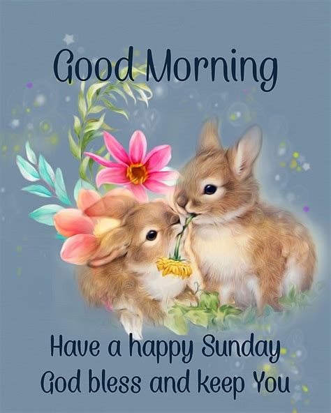Bunny Good Morning Happy Sunday Pictures Photos And Images For