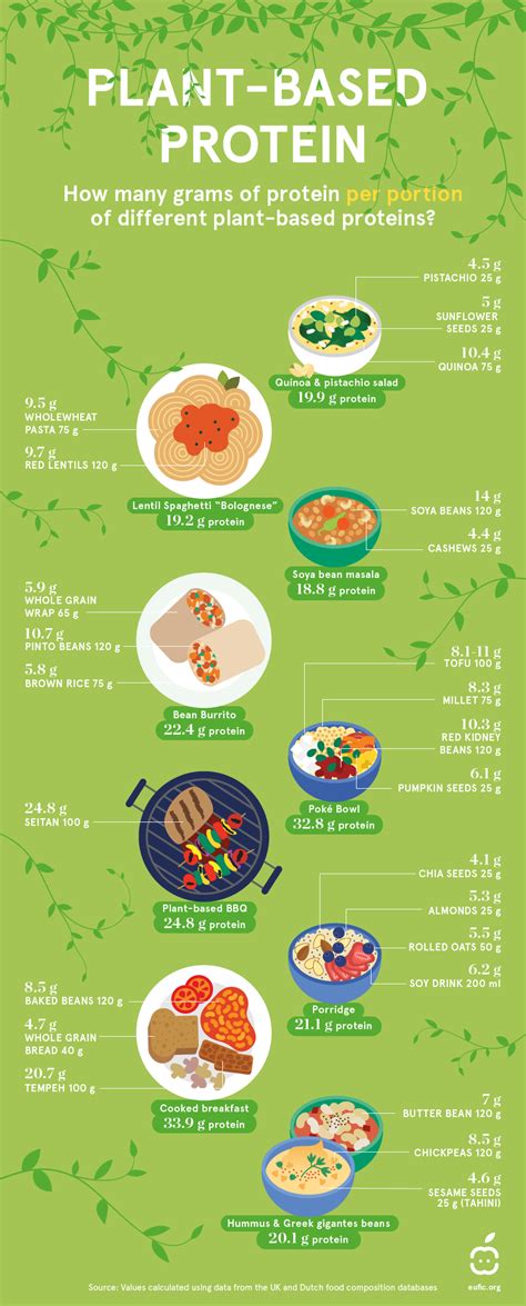 Plant Based Protein Sources For Vegans And Vegetarians Infographic