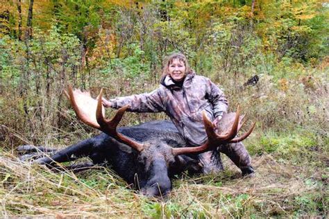 Moose Hunting Photos Pb Guide Service
